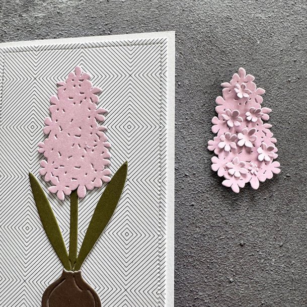 Simple and Basic - Die - Hyacinter