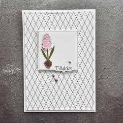 Simple and Basic - Die + stempel - Tillykke