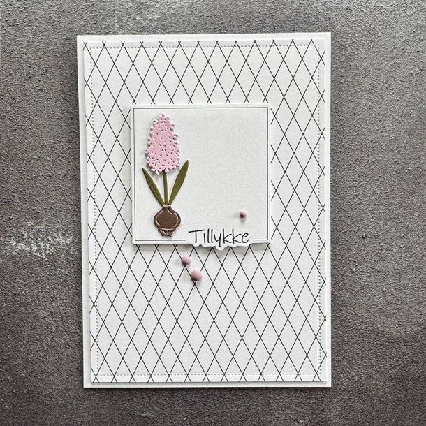Simple and Basic - Die + stempel - Tillykke