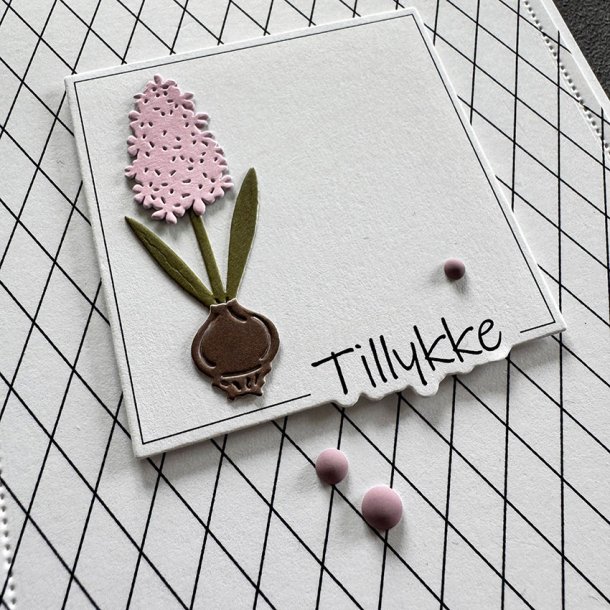 Simple and Basic - Die + stempel - Tillykke