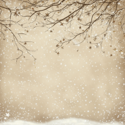 Gavlhusets Design - Blok 6'' - Jul og blomster