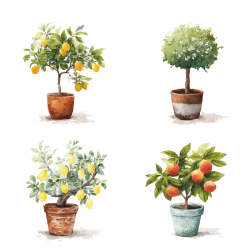 Gavlhusets Design - Blok 6'' - I haven