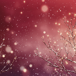 Gavlhusets Design - Blok 6'' - Jul og blomster