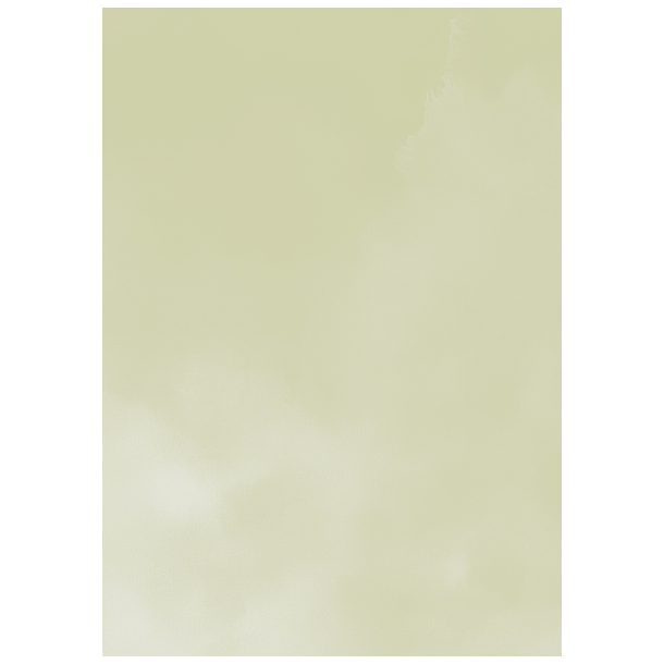 Gavlhusets Design - Blok A5 - Akvarel Tern - Stvet