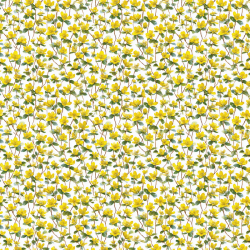 Gavlhusets Design - Blok 6'' - For�r