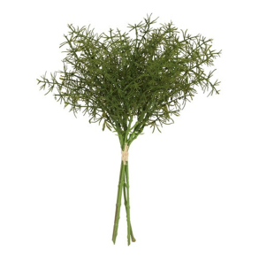 Silkeblomst - Asparagusbundt - Gr�n - 34 cm - 5 stk