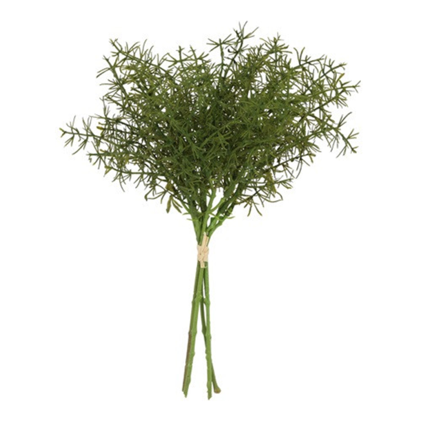 Silkeblomst - Asparagusbundt - Gr�n - 34 cm - 5 stk