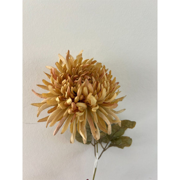 Silkeblomst - Chrysanthemum - Gylden - 17 cm