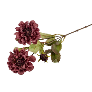 Silkeblomst - Dahlia - Bordeaux - 60 cm