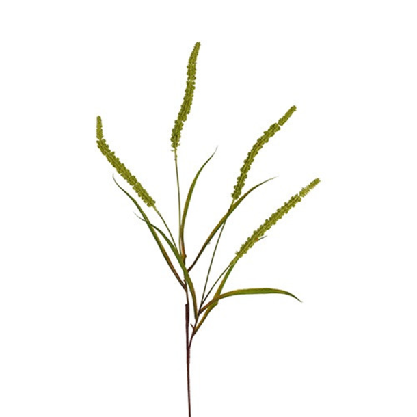 Silkeblomst - Gr�s - Gr�n - 94 cm