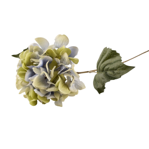 Silkeblomst - Hortensia - Bl� - 45 cm
