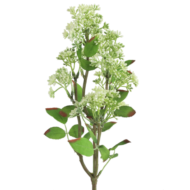 Silkeblomst - Kirseb�rgren - Hvid - 58 cm