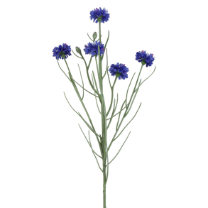 Silkeblomst - Kornblomst - Bl� - 66 cm