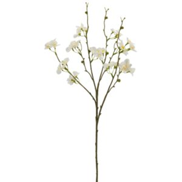 Silkeblomst - Kv�degren - Hvid - 73 cm