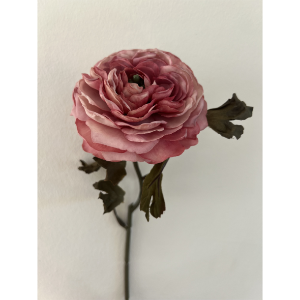 Silkeblomst - Ranunkel - Purple - 39 cm