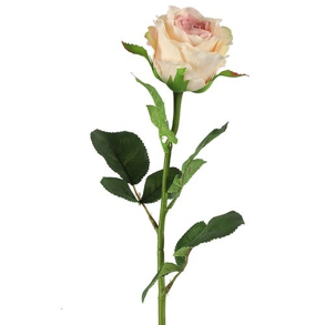 Silkeblomst - Rose - Creme - 70 cm