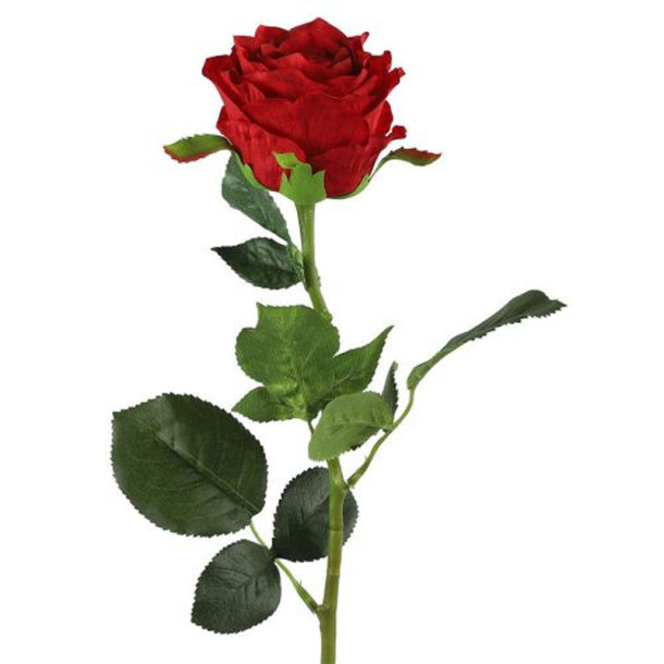 Silkeblomst - Rose - R�d - 70 cm