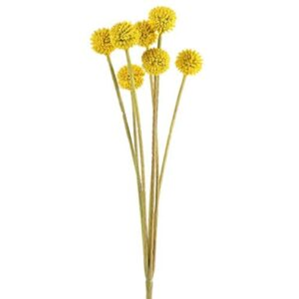 Silkeblomst - Trommestikbuket - Gul - 62 cm