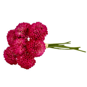 Silkeblomst - Dahlia - Fuchsia - 27 cm