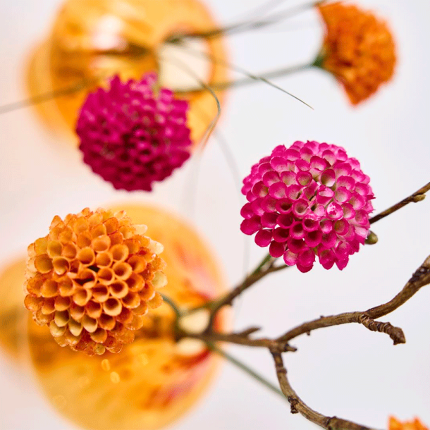 Silkeblomst - Dahlia - Orange - 27 cm