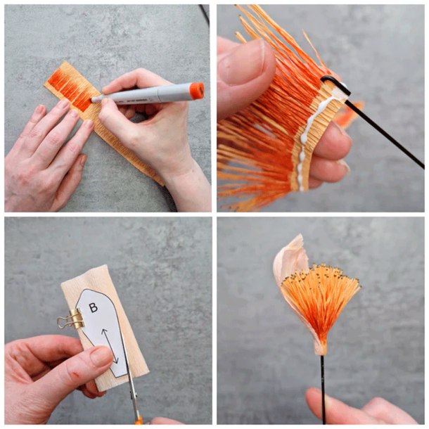 Crepeblomster - Kit - Sophia Peach Mix