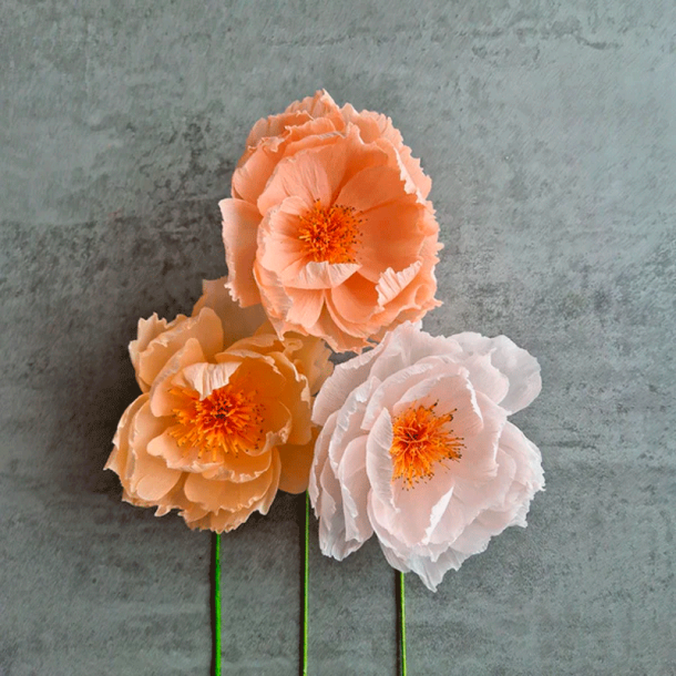 Crepeblomster - Kit - Sophia Peach Mix