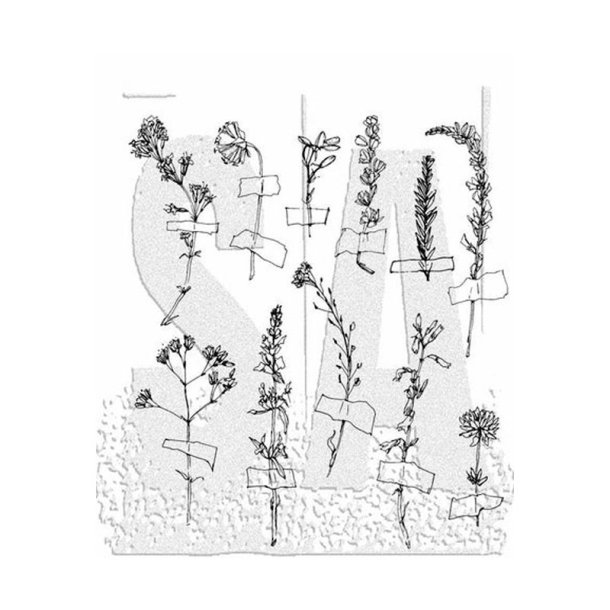 Tim Holtz - Stempel - Forgotten Garden
