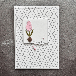 Simple and Basic - Die + stempel - Tillykke