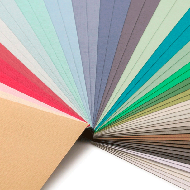 Vaessen - Florence - Karton - 12'' - Sampak - 60 ark