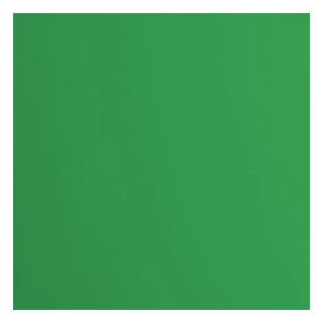 Vaessen - Florence - Smooth karton 12'' - 216g - Holly