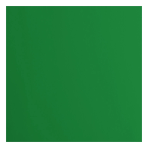 Vaessen - Florence - Smooth karton 12'' - 216g - Broccoli