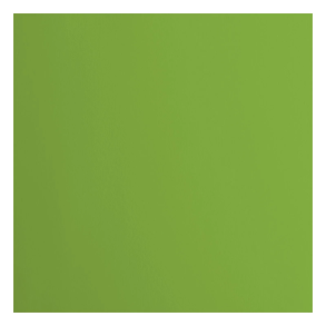 Vaessen - Florence - Smooth karton 12'' - 216g - Frog