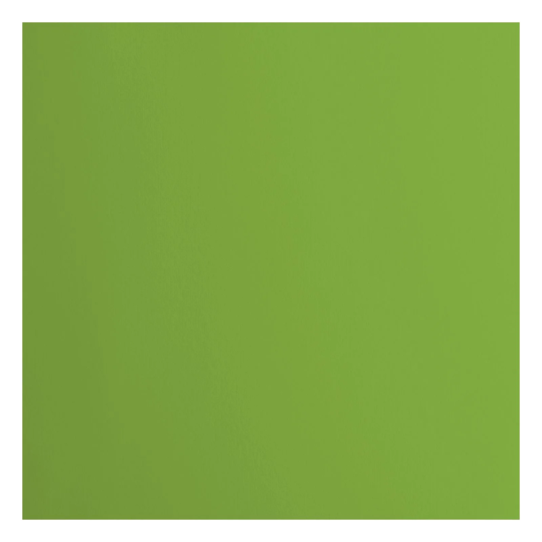 Vaessen - Florence - Smooth karton 12'' - 216g - Frog