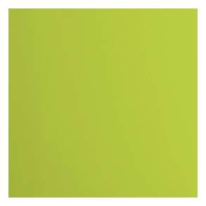 Vaessen - Florence - Smooth karton 12'' - 216g - Lime
