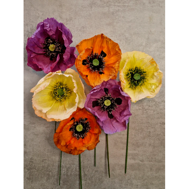 Crepeblomster - Kit - Valmue