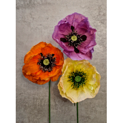 Crepeblomster - Kit - Valmue